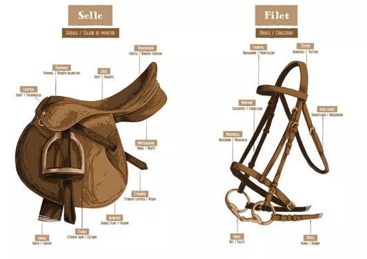 Carnet d'aventure équestre