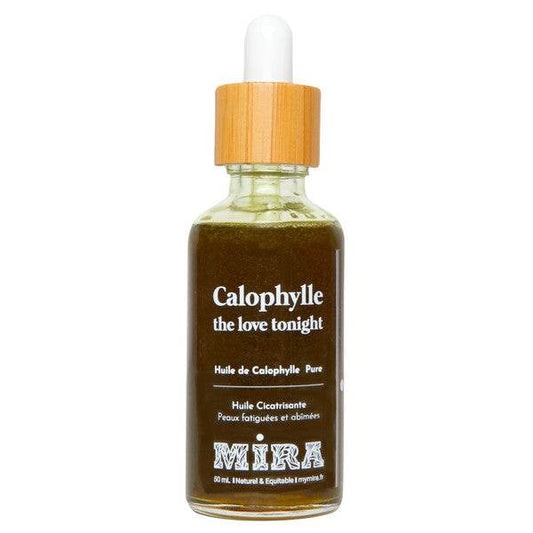 Calophylle - The love tonight - Alcazia