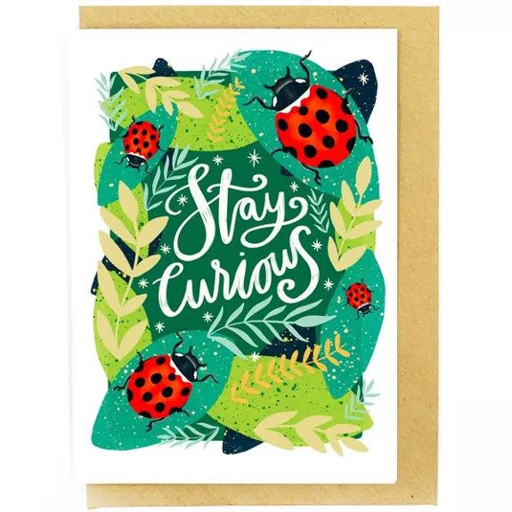 Stay curious