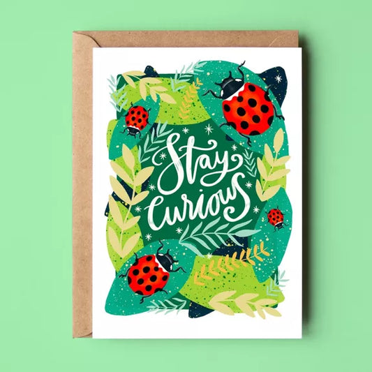 Stay curious - Alcazia