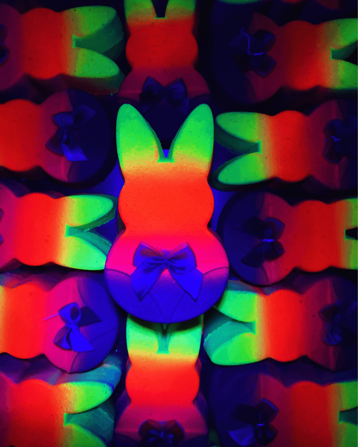 Lapin fluorescent - Alcazia