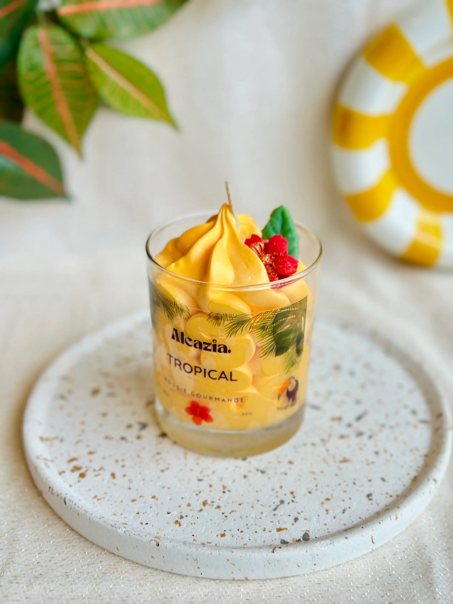 Bougie gourmande - Tropical