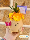 Marcel – Famille Bloomy