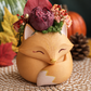 Gaspard — Bouquet Renard d’Automne