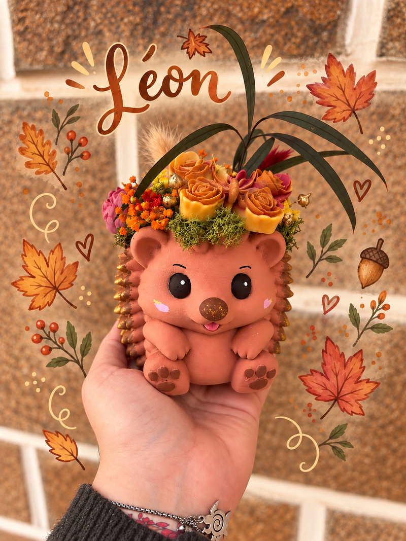 Léon le hérisson – Bouquet parfumé Pomme Cannelle - Alcazia